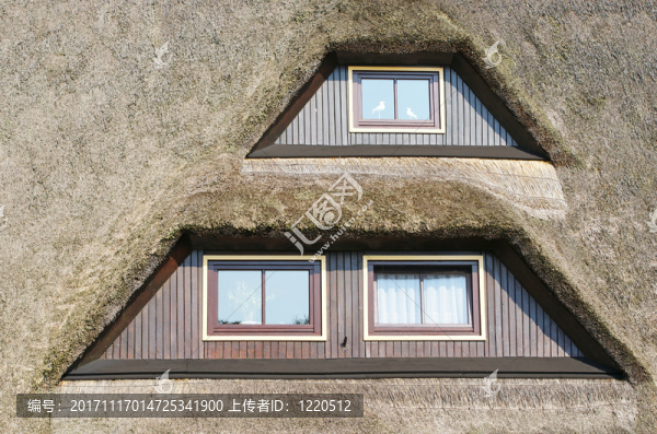 reet,dormer,windows