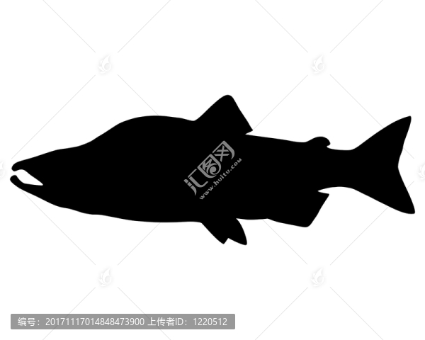 三文魚(yú)剪影