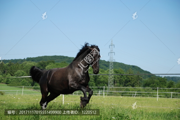 運動