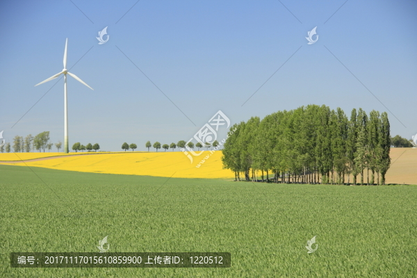 風(fēng)力發(fā)電機