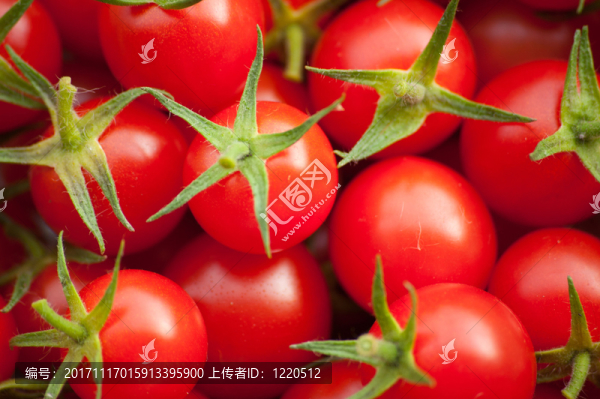 蔬菜