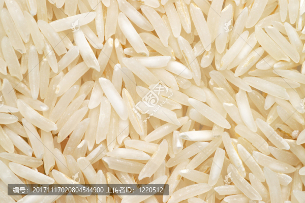 印度香米大米特寫(xiě),-,巴斯馬蒂大米