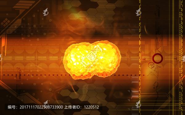 教育