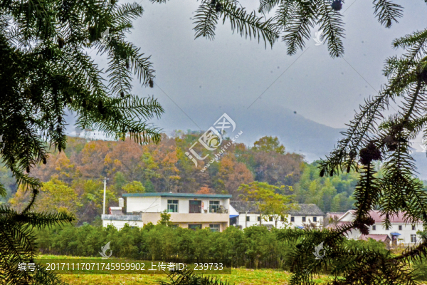 秋天山林