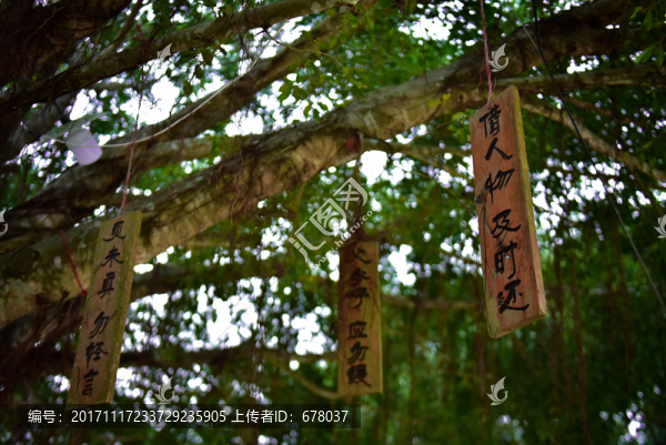 弟子規(guī)