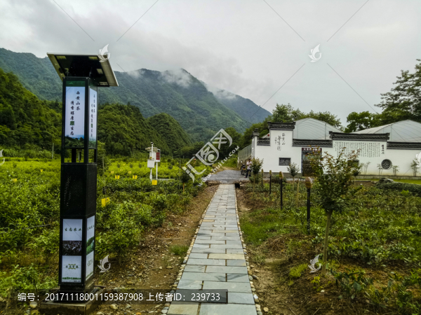 茶葉綠色防控