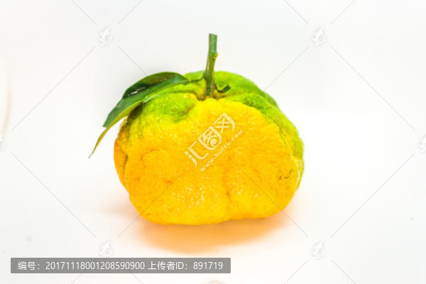 丑桔,橙子,蘆柑,不知火柑