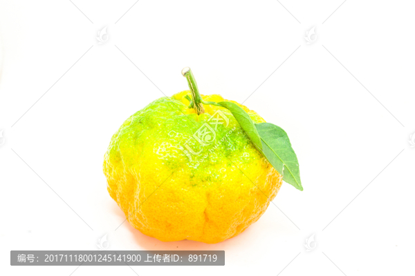 丑桔,橙子,蘆柑,不知火柑