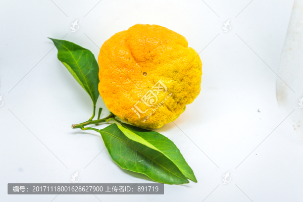 丑桔,橙子,蘆柑,不知火柑