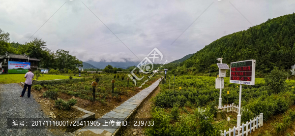 自動(dòng)氣象站