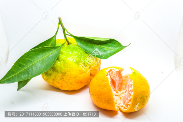 丑桔,橙子,蘆柑,不知火柑