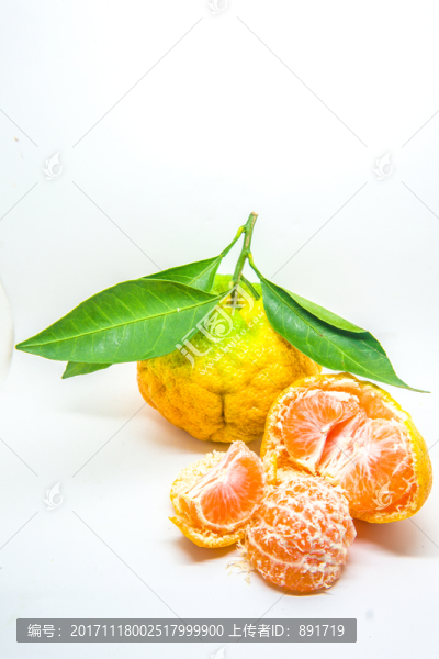 丑桔,橙子,蘆柑,不知火柑