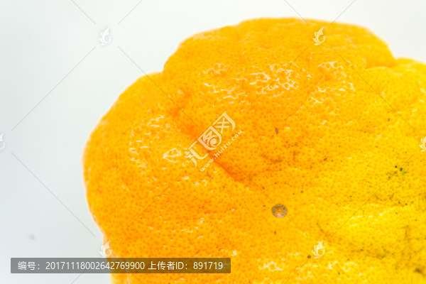 丑桔,橙子,蘆柑,不知火柑