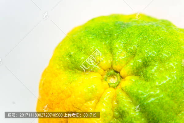 丑桔,橙子,蘆柑,不知火柑