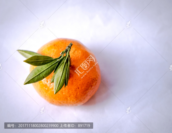 丑桔,橙子,蘆柑,不知火柑