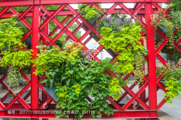 立體花壇栽