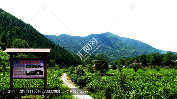 科普基地