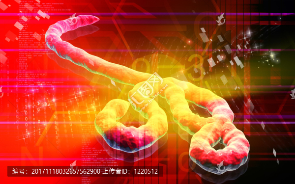 醫(yī)學(xué)上地