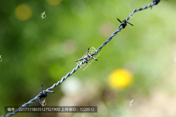 鐵絲網(wǎng)
