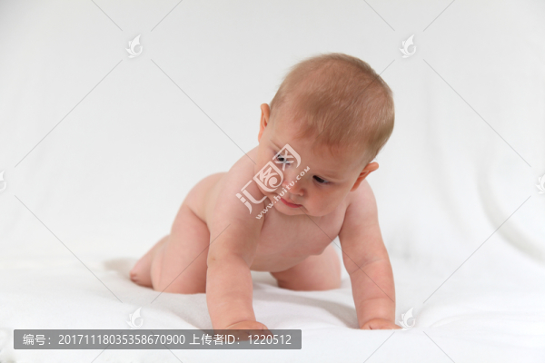 寶貝爬上