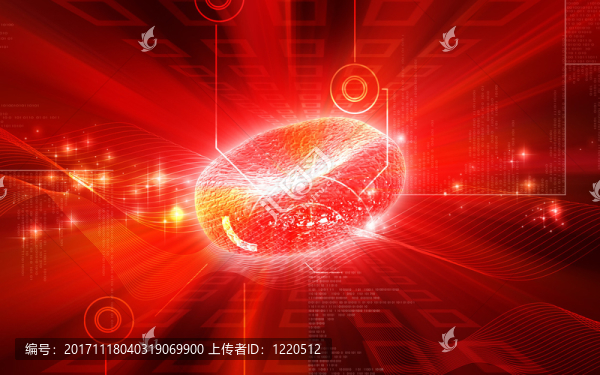 教育