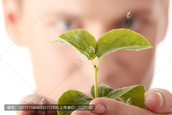 古伊