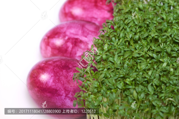 綠色的