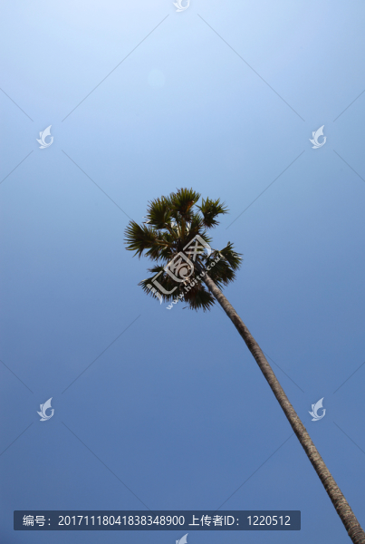 藍色