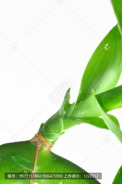 環(huán)境