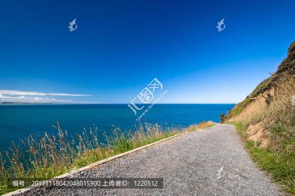 海岸