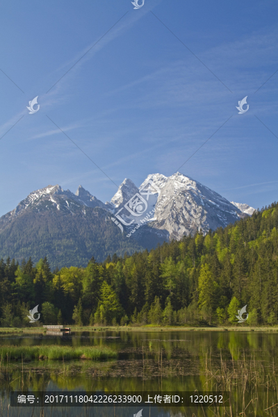 taubensee