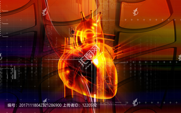 教育
