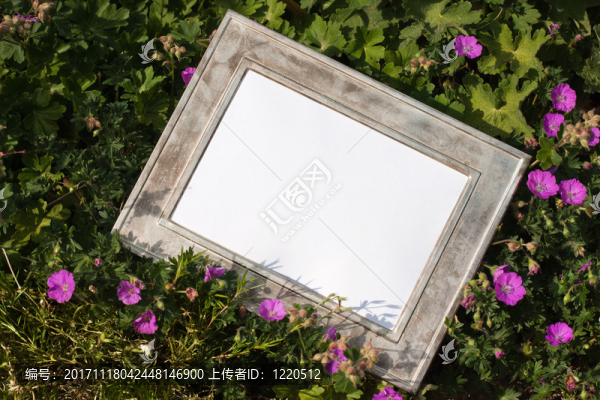 花園
