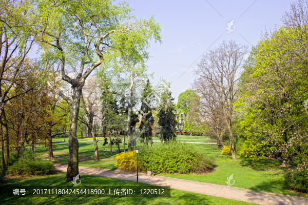 公園