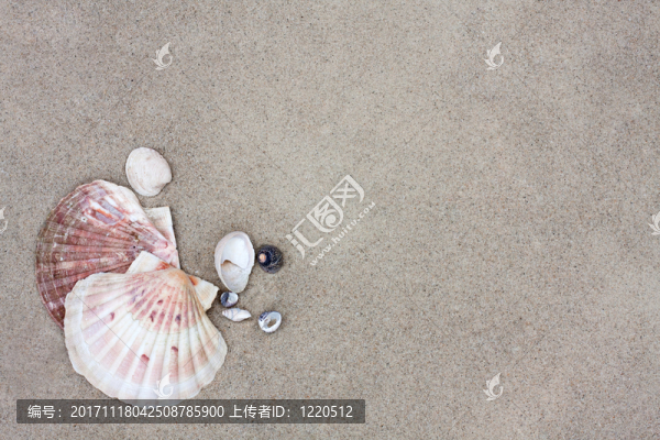 海灘