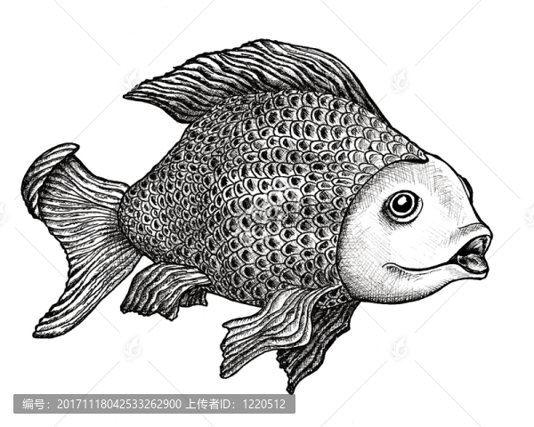 魚