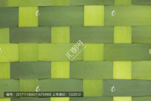葉子