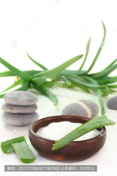 洗液