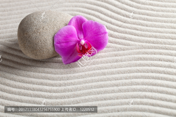 花園
