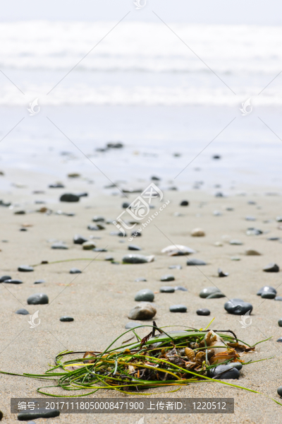 海灘