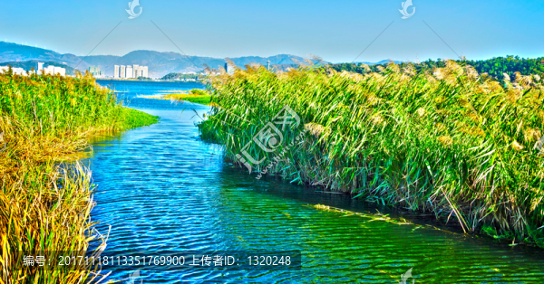 洱海