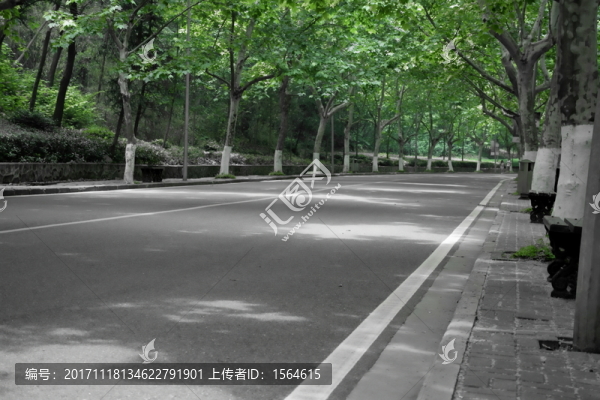 路