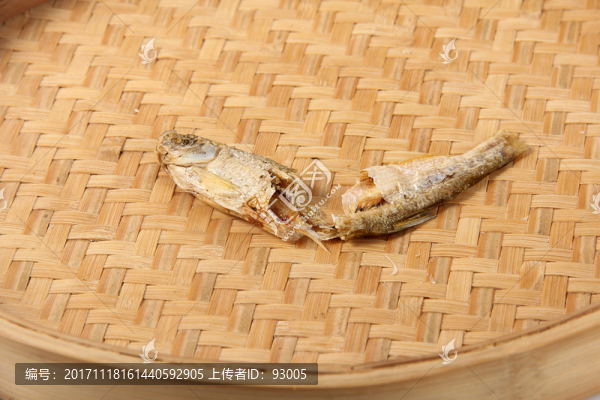 魚