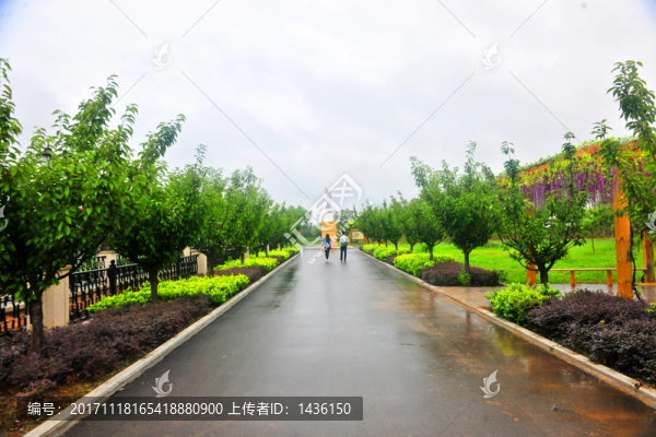莊園風景,,莊園綠化