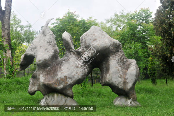 石頭,景觀石,象形石