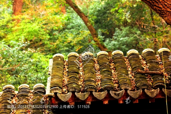 南京棲霞山
