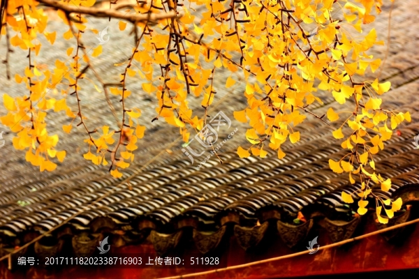 南京棲霞山