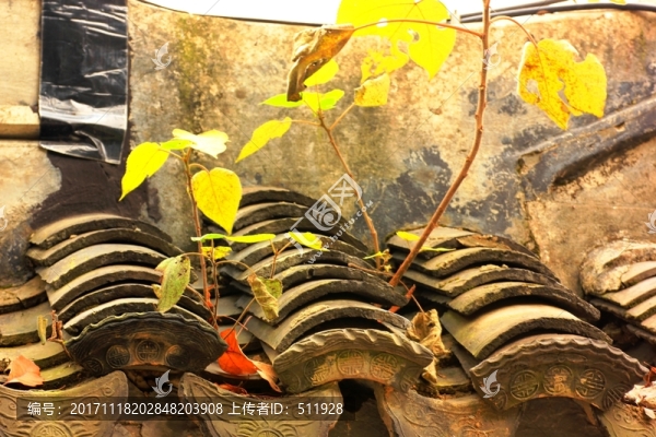 南京棲霞山