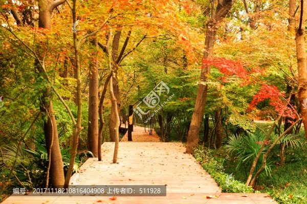 南京棲霞山