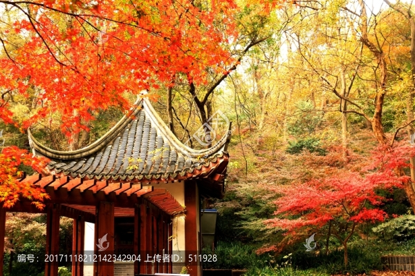南京棲霞山